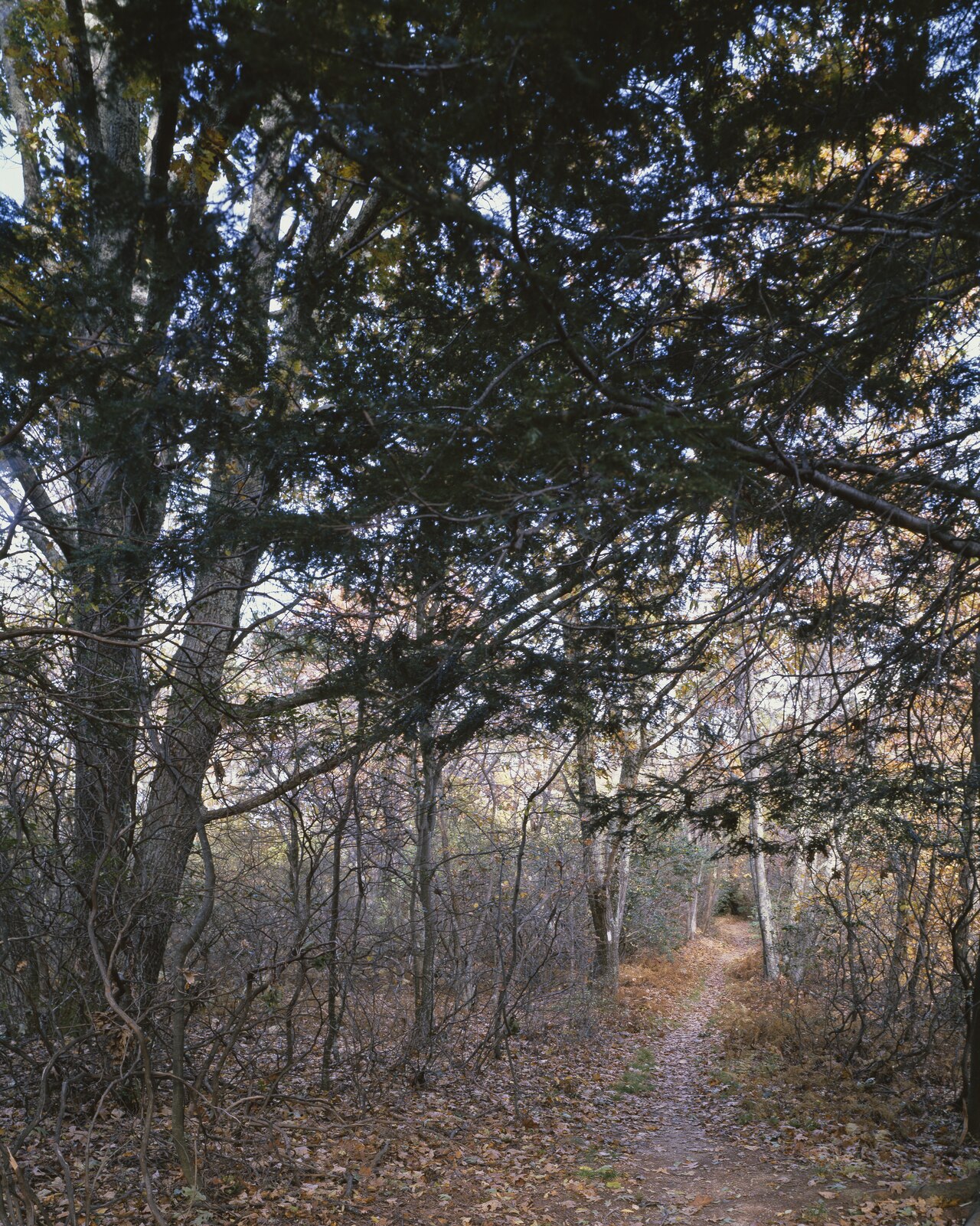 scenic travel landscape (foto: Carol M. Highsmith / Public domain, Wikimedia Commons)