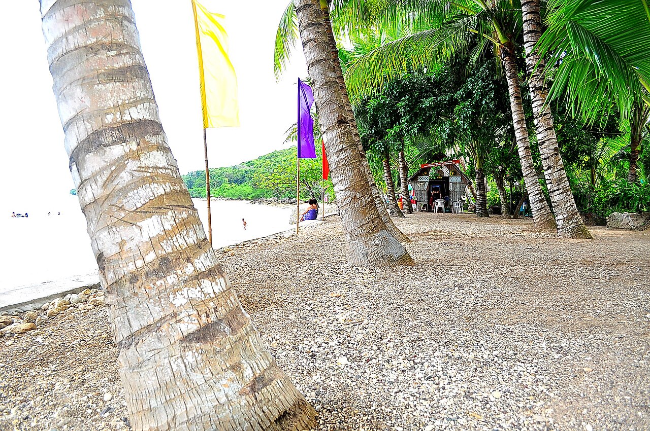 tropical beach resort (foto: whologwhy / CC BY 2.0, Wikimedia Commons)