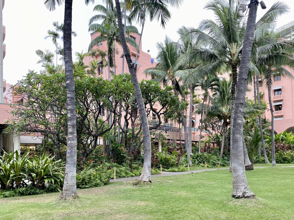 Cour int&eacute;rieure plant&eacute;e d'un petit h&ocirc;tel avec tables en fer forg&eacute; et murs de pierre claire