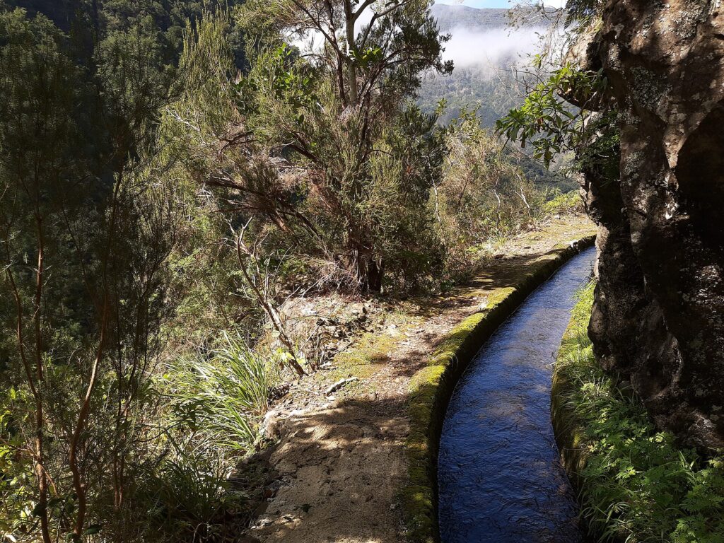 Canal d'irrigation bord&eacute; d'un &eacute;troit sentier traversant une for&ecirc;t humide de Mad&egrave;re