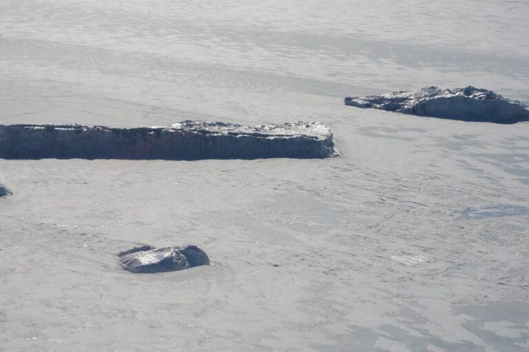 Antarctica Expedition Cruises 2026-27: A Detailed Operator Guide