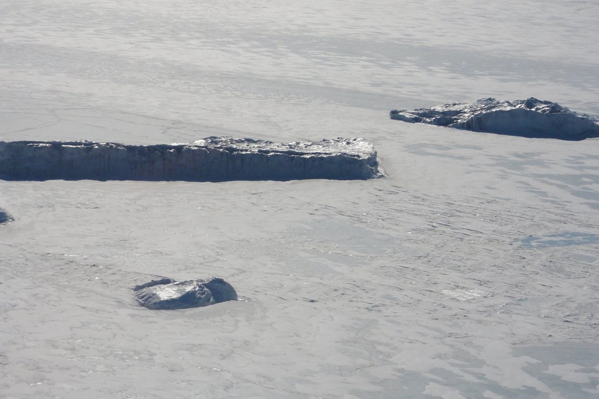 Antarctica Expedition Cruises 2026-27: A Detailed Operator Guide