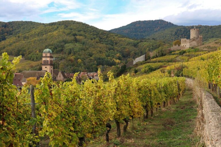 Oenotourisme de Luxe en France : Les Routes des Vins les Plus Exclusives