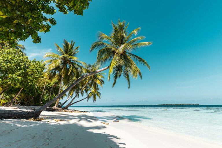 Séjour dans des destinations exotiques et inaccessibles
