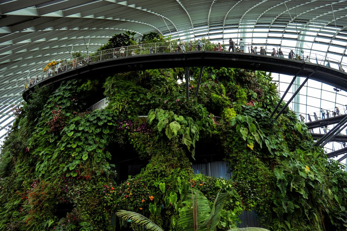 Tourisme Regeneratif : Quand le Voyage de Luxe Repare la Planete