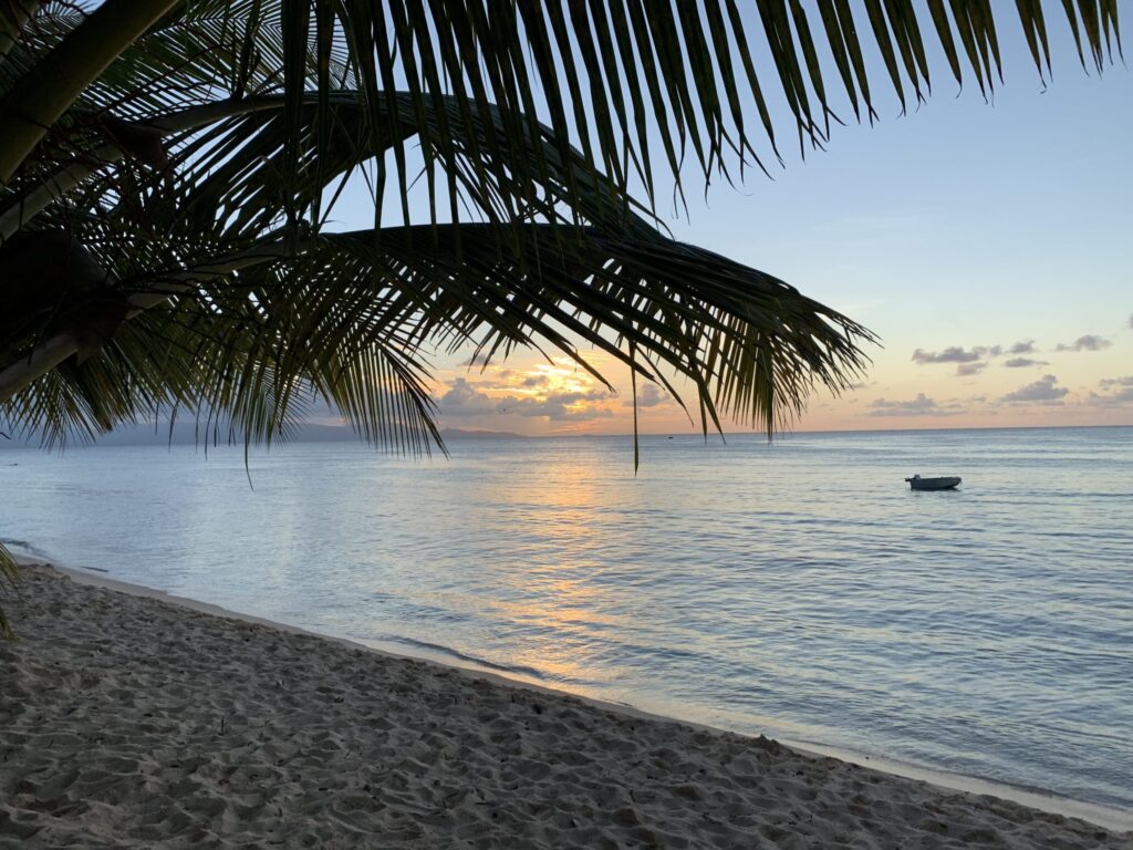 Plage de sable clair bord&eacute;e de cocotiers avec une mer calme en arri&egrave;re-plan