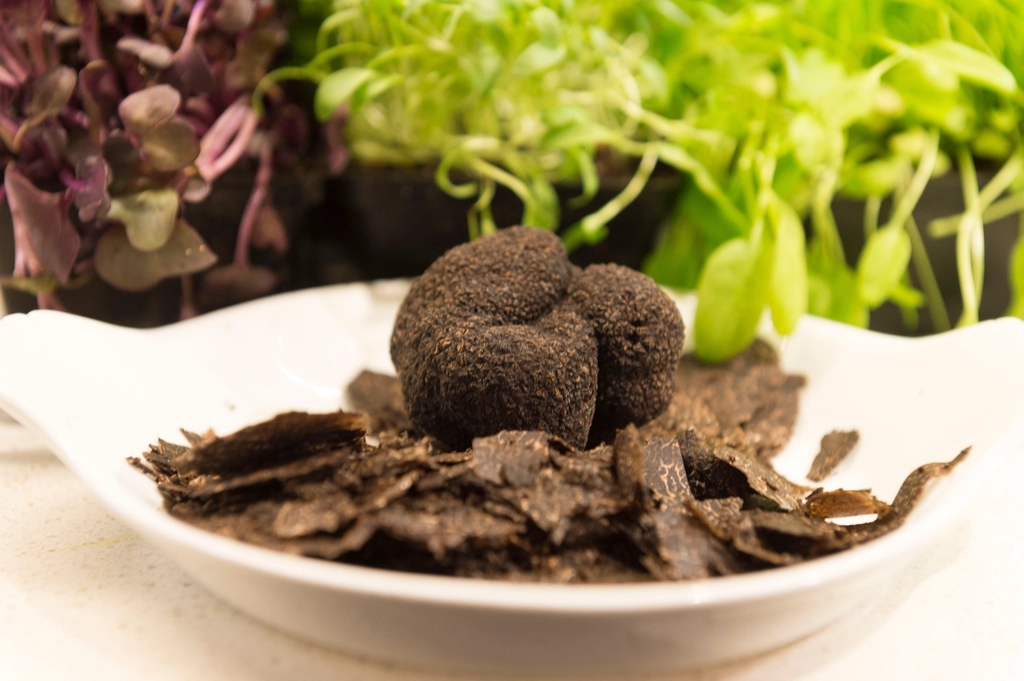 Truffe coup&eacute;e en deux montrant une chair claire vein&eacute;e de blanc &agrave; c&ocirc;t&eacute; d'un couteau